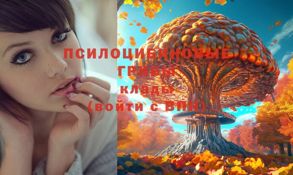 метамфетамин Зеленокумск