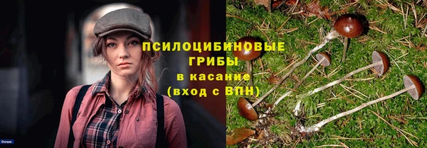 винт Зерноград